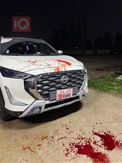 نیسان ماگنایت